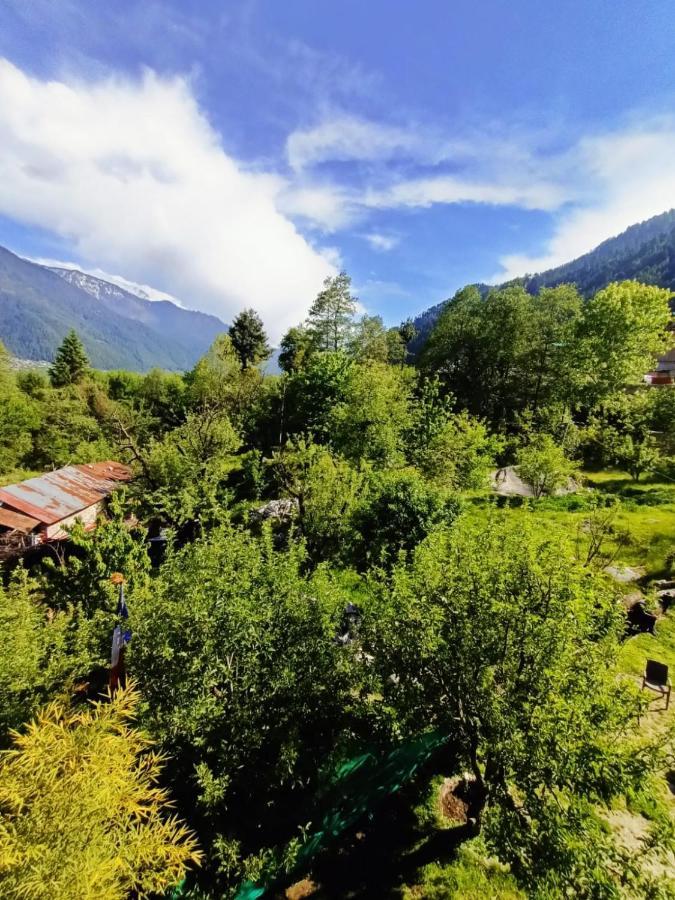 Rashpa Cottage Manāli Exterior foto